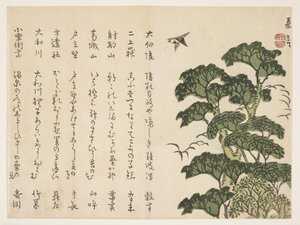 Großer Baum und Vögel, ca. 1830-44 von Murata Kagen