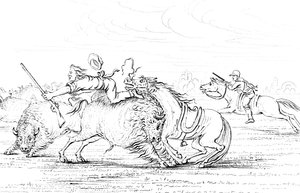Büffel greift einen Cowboy auf einem Pferd an, 1841 von Myers and Co