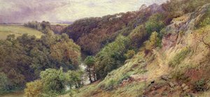 Ein Tal in Devonshire von Myles Birket Foster