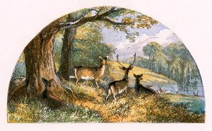Illustration für 