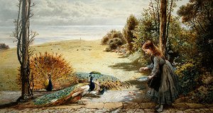Pfauen von Myles Birket Foster