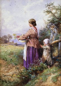Heimkehr