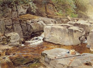 Felsen an der Greta von Myles Birket Foster
