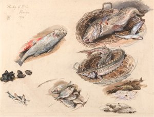 Studie von Fischen, Venedig von Myles Birket Foster