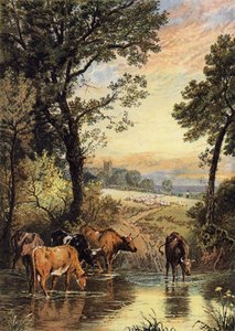 Sommerabend von Myles Birket Foster