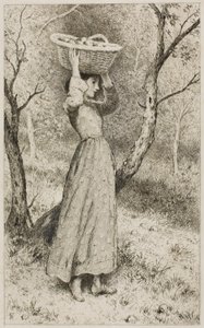 Junges Mädchen in einem Obstgarten mit einem Korb voller Früchte von Myles Birket Foster