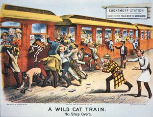Ein Wildkatzenzug - Keine Zwischenstopps