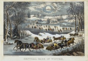 Central Park im Winter
