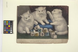 Meine drei weißen Kätzchen von N. and Ives J.M. (1824 95) Currier