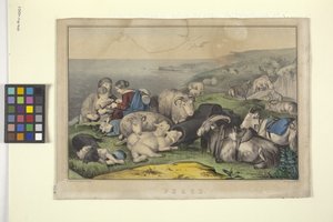 Frieden von N. and Ives J.M. (1824 95) Currier