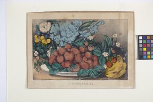 Erdbeeren von N. and Ives J.M. (1824 95) Currier