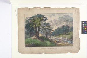 Die Zedern des Libanon