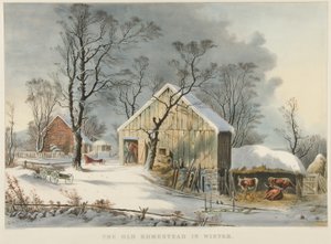 Das alte Heim im Winter