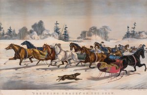 "Trotting Cracks" im Schnee