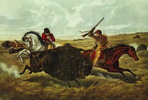 Leben auf der Prärie - die Büffeljagd, 1862