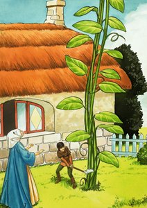 Hans und die Bohnenranke von Nadir Quinto