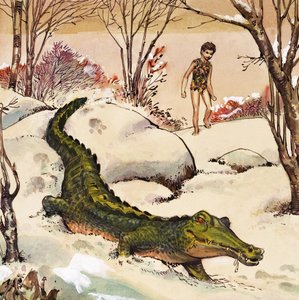 Peter folgt dem Krokodil, Illustration aus 