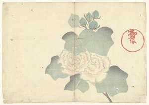 Pfingstrosen von Nakamura Hochu