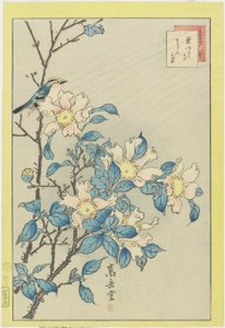 Blauer Vogel und rosa Blumen