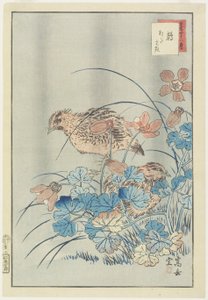 Zwei Wachteln im Busch von Nakayama Sugakudo
