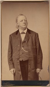Henry Ward Beecher von Napoleon Sarony