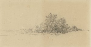 Waldrand