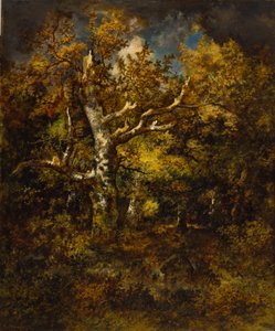 Wald von Fontainebleau, Herbst von Narcisse Virgile Diaz de la Peña