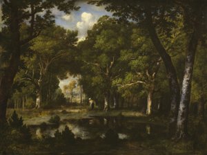 Teich im Wald
