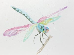 Libellen auf einem Ast in Pastellfarben