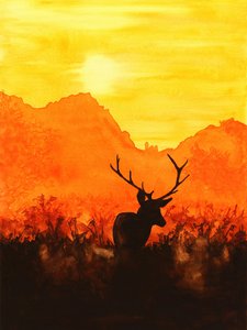 Hirsch-Silhouette bei Sonnenuntergang von Natalie Bruns