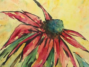 Lebendige rote Sonnenhutblume
