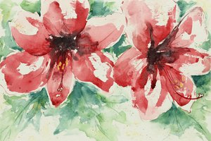 Lebendige rote Blumen