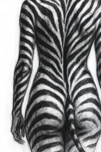Zebrastreifenform