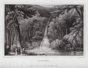 Hack-Fall von Nathaniel (after) Whittock