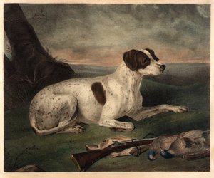Juno von Nathaniel Currier