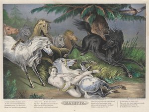 Mazeppa: Platte 3 von 4 (Umgeben von Wildpferden) von Nathaniel Currier