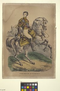 Prinz Albert von Nathaniel Currier
