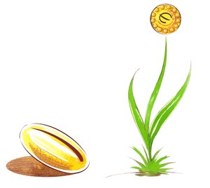 Saat und Spross - Illustration einer finanziellen Allegorie von Neale Osborne