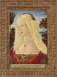Porträt einer Dame, ca. 1485 von Neroccio de Landi