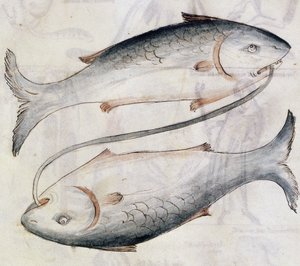 Zeichnung von Fischen, aus einer Übersetzung eines persischen astrologischen Traktats von Jafar ibn Muhammad (Pergament)