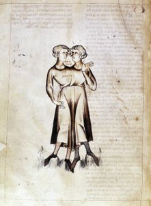 Zeichnung von Zwillinge, aus einer Übersetzung eines persischen astrologischen Traktats von Jafar ibn Muhammad (Pergament) von Netherlandish School