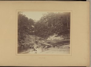 Oberer Nepean von New South Wales Government Printing Office