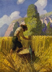 Illustration für Robinson Crusoe von Newell Convers (after) Wyeth