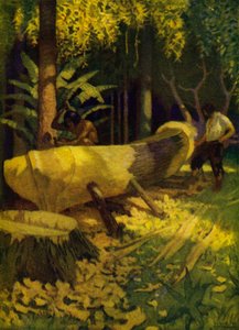 Illustration für Robinson Crusoe von Newell Convers (after) Wyeth