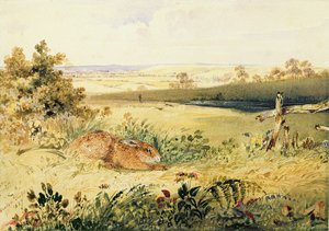 Hase in einer Landschaft, 1827