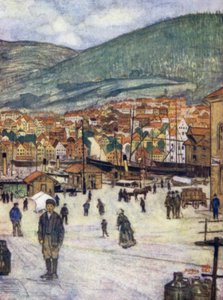 Norwegen: Bergen von Nico Jungman