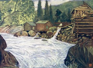Norwegen: Fluss bei Haukeli von Nico Jungman