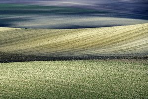 Rollende Feldmuster von Nicola Figliuolo