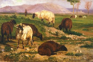 Weidende Tiere
