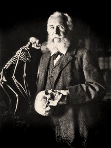Porträt von Ernst Haeckel neben dem Skelett eines Affen, ca. 1860
